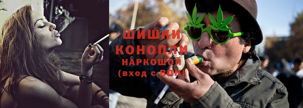 прущие грибы Абдулино