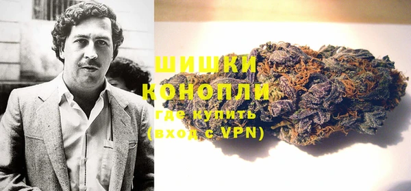 прущие грибы Абдулино
