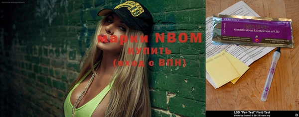 прущие грибы Абдулино