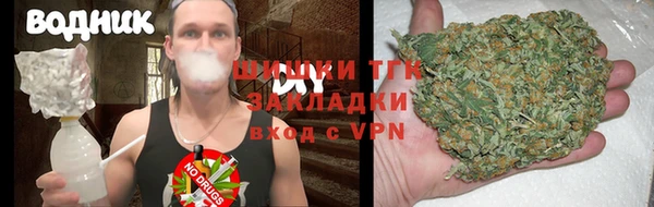 прущие грибы Абдулино